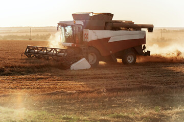 Fototapeta premium Combine harvester harvests wheat. Concept of a rich harvest. Agriculture image.