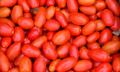 Ripe tomatoes of the new harvest are sold in the bazaar 