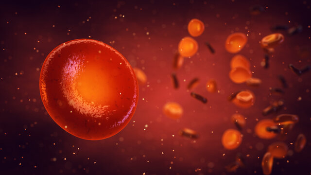 Red blood cells or Erythrocytes carry oxygen to all body tissues.  Red blood cells background.