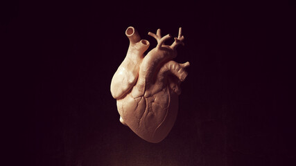 Human Heart Anatomy Medical Organ 3d illustration render - obrazy, fototapety, plakaty