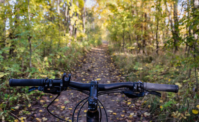 Fototapeta na wymiar Relaxing and biking in the fall. Cycling through the autumn forest. Cyclists riding through the woods.