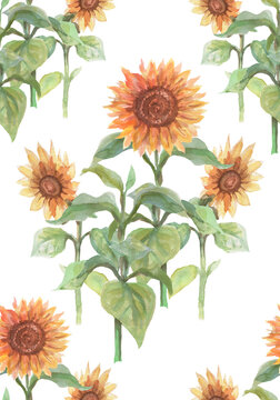 

Vintage pumpkin sunflowers Apple box pickup watercolor hand drawn illustration. Print textile vintage retro realistic style autumn nature orange yellow color. patern seamless set clipart