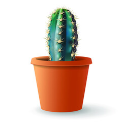 realistic cactus