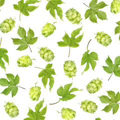 hop cones with leaves isolated on white background