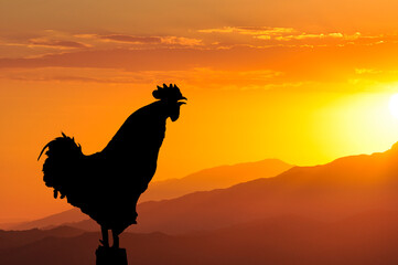 a black silhouette of a crowing rooster against the background of the rising sun. © Radorog.