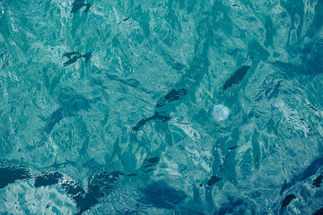 Blue beautiful water texture background