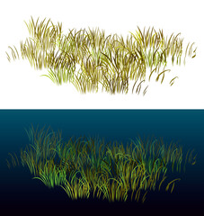 Grass isolated on white. Isometric view grass for landscapes. Realistic 3D grass vector illustration.