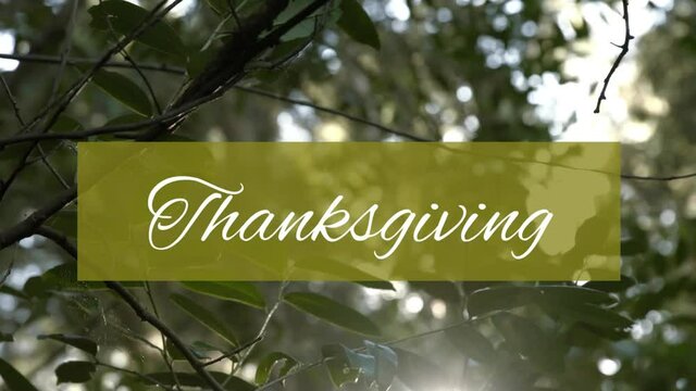 Animation of thanksgiving text on green banner over trees