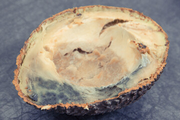 Inedible avocado with mold. Dark background. Unhealthy food