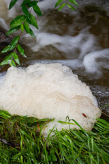 Dirty scum foam bowl floating on small stream water surface close up shot no people