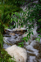 Dirty scum foam bowl floating on small stream water surface close up shot no people