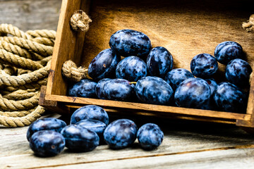 Fresh ripe plums in a wooden crate