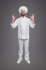 Cheerful chef showing OK gesture