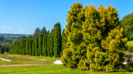 Landscape with trees and blue sky.