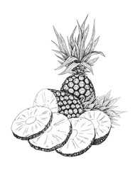 Pineapples drawn by hand in the sketch style. Whole fruits and pieces. Graphics. Engraving