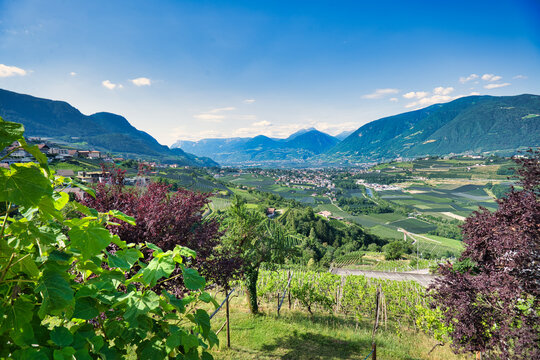 Blick von Schenna in S&uuml;dtirol hinab ins Tal nach Meran