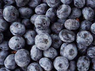 Water drops on ripe sweet blueberry. Fresh blueberries background with copy space for your text. Vegan and vegetarian concept. Macro texture of blueberry berries.Texture blueberry berries close up