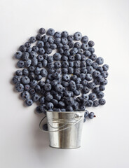 Blueberry fruit top view isolated on a white background, flat lay overhead layout with mint leaf, healthy design concept.