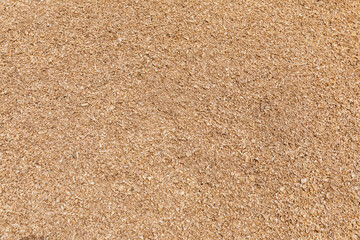 Sawdust or wood dust texture background.