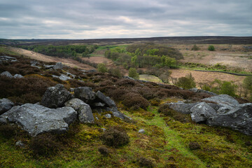 Fototapeta premium Footpath flanked by large rocks, heather, fields, and trees under overcast sky. Goathland, UK.