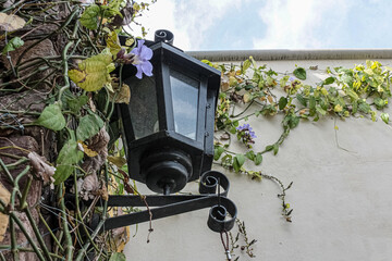 street lamp with flowers