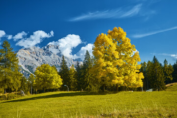 Stunning alpine Landscape at sautumn sunny day. Alpine meadow and road, mountains on background. amazing nature Landscape. Dolomites Alps. Italy.