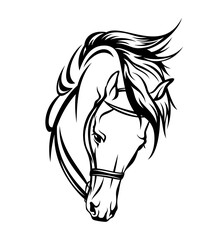 bridled horse head with flying mane black and white vector outline portrait
