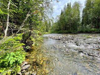 The Auspiya River in summer. Russia, Northern Urals