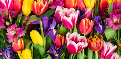 Colorful flowers background. Spring flowers composition close up. Summer background. Bright floral texture.