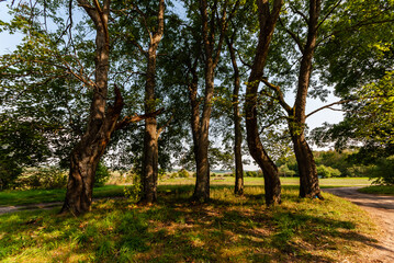 Pólko pod Supraślem - na biwak, relaks, wędkowanie, Podlasie, Polska