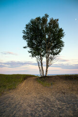 St-Henri-de-Taillon Saguenay Lac-Saint-Jean National Park beach shore