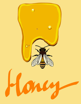 Hand drawn bee with honey, and a symbolic simplified image of a bee as a design element on a textured background. vector illustration with text honey