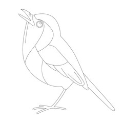 flycatcher bird, vector illustration, lining draw,