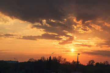 A bird and a spire silhouettes against a sky at spring sunset