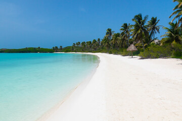 Tropical landscape. Palm trees, the Caribbean sea and white sand. Vacation in Mexico.