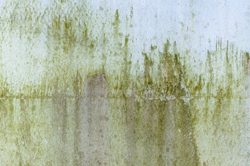 Grime texture of old dirty green paint, dilapidated aged surface for background, remnants of peeling cracked paint, grunge rough crustr wall backdrop, strong uneven painted pattern with copyspace