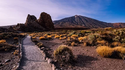Foto op Canvas Roques de Garcia in Teide National Park, Tenerife, Spain. © Boris
