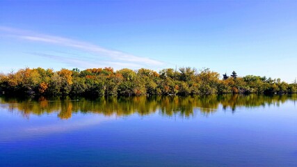 Beautiful treed landscape near the lake