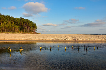Fototapeta na wymiar the Piasnica river flowing into the Baltic Sea in Poland, beautiful landscape 