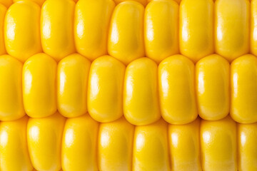 corn texture background. Corn grains close up