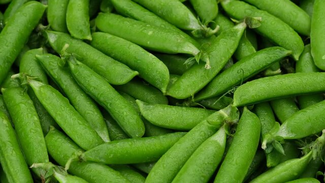 Raw green pea pod top view. Sliding shot. 4K UHD video