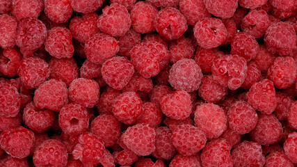 fresh red raspberries top view