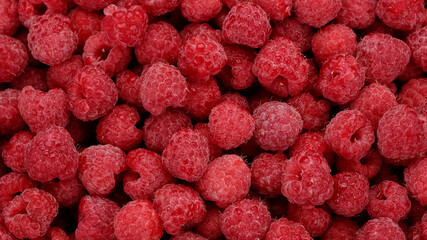 fresh red raspberries top view