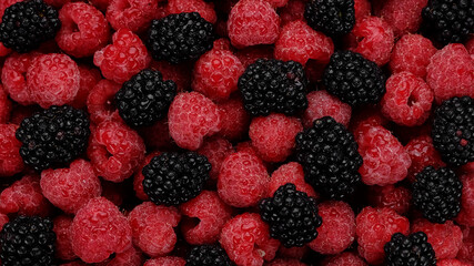 fresh blackberry and raspberries top view