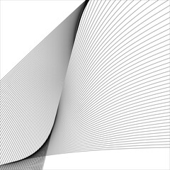 abstract black line grey wave gray band on white background vector