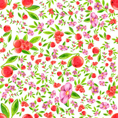 Seamless pattern of juicy red berries green leaves of blooming flowers buds drawing with colored pencils on a white background