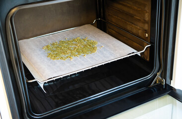Cooking with marijuana. Baking cannabis buds to activate psychoactive effect and cook with it later.