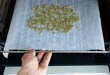 Cooking with marijuana. Baking cannabis buds to activate psychoactive effect and cook with it later.