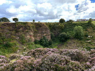 Obraz premium Former Victorian stone quarry, with wild plants, and distant houses, on the outskirts of, Bradford, Yorkshire, UK