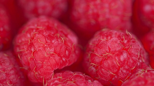Fresh raspberry fruits as food dackground. Red raspberries, rotation. Rack focus.